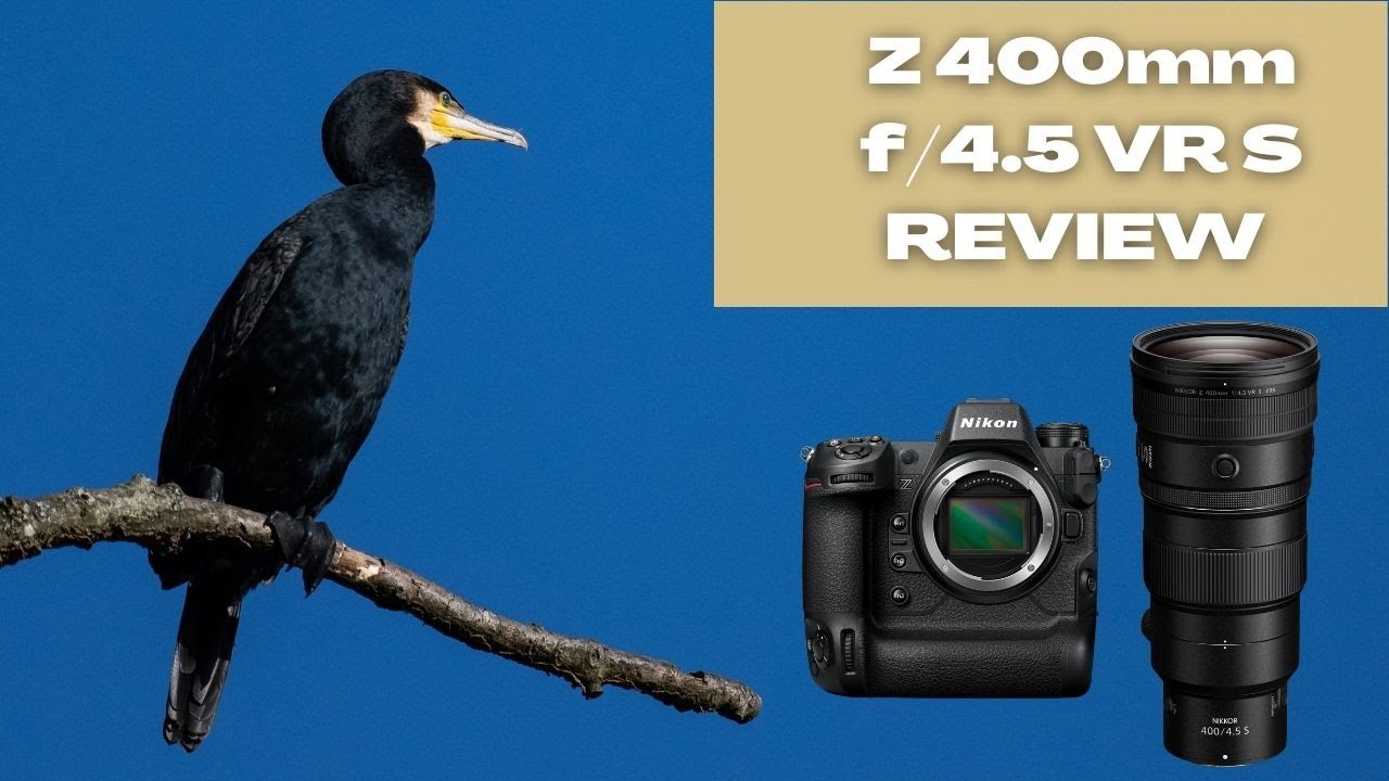 Video thumbnail for Video Review 2