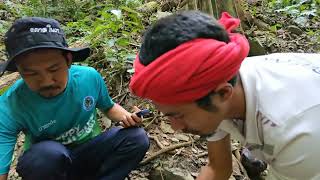 08 03 67 บู งอ เกะ มอร์ หรือ ดอกบัวผุด  สีสันความงดงามกลางพงไพร เบ่งบานแล้วที่ใต้สุดสยาม พร้อมผลักดั 08 03 67 บู งอ เกะ มอร์ หรือ ดอกบัวผุด  สีสันความงดงามกลางพงไพร เบ่งบานแล้วที่ใต้สุดสยาม พร้อมผลักดั