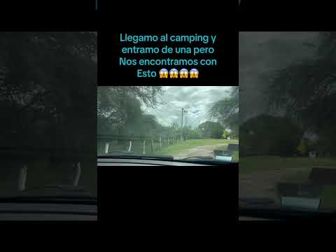 #turismo camping tuna en san Jaime entre rios 😍😍😍