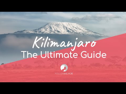 Videos from Follow Alice