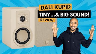 DALI Kupid Review – Small Size, True Hi-Fi Experience