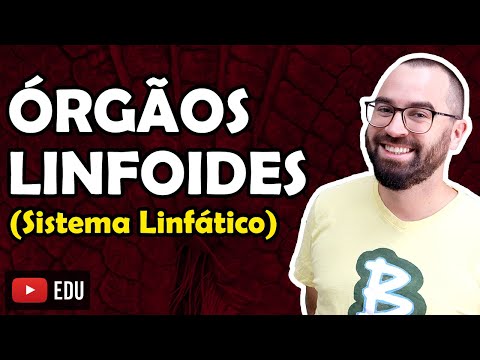 Lymphoid Organs (Lymphatic System) - Class 27 - Module VII: Human Histology and Physiology