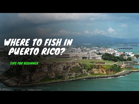 Where To Fish In Puerto Rico? Tips for Beginner