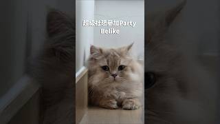 超級社恐參加Party Belike | Papapu X Bubu's Cat Diary #cat #主人 #cute #貓咪日常 #pets #cutecat #i人 #mbti #派對