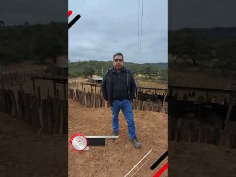 Charla Técnica productiva sobre insumos en Cuevo