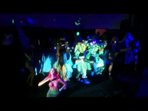 Ibiza Zoo Project 2014