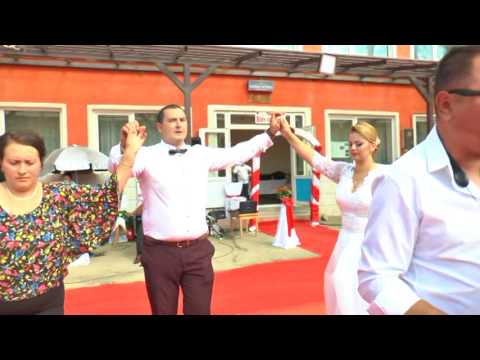 Mihaela Petrovici si Petrica Orbulescu  08-Nunta Lapusnicel Nicu si Tia 2017