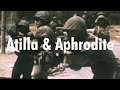 Atilla Aphrodite Cyprus 74