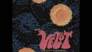 Veldt - Willow Tree