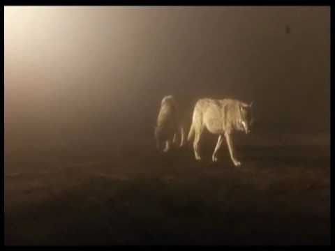 MYLENE FARMER  - Beyound my control