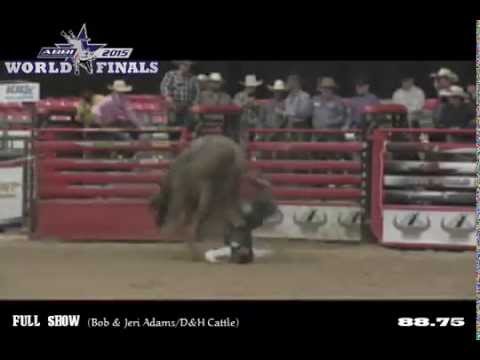 TOP BULL: Full Show (Bob & Jeri Adams/D&H Cattle)