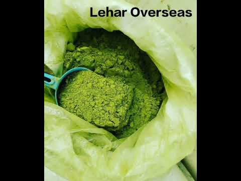 Natural Moringa Leaves Powder, 25 kg