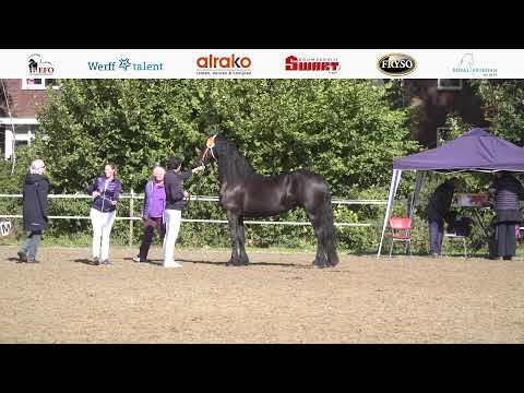 Stamboekkeuring Boxtel | 1 oktober 2022