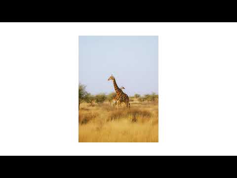 Fujifilm – Namibia Road Trip (Part 2)