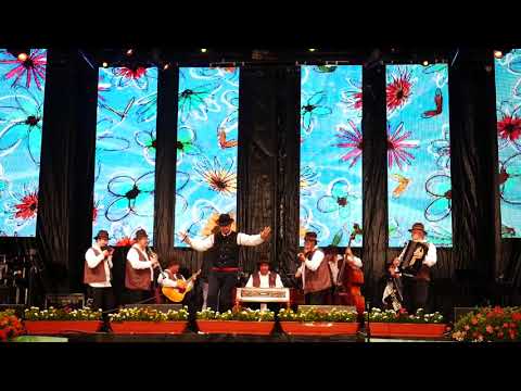 Daniel Trifu si Taraful Targovetii la Festivalul National de Folclor - Haimanaua