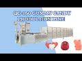 QG-150 Gummy Candy Production Line, Fully Multifunctional Vitamin Jelly candy making Machine line