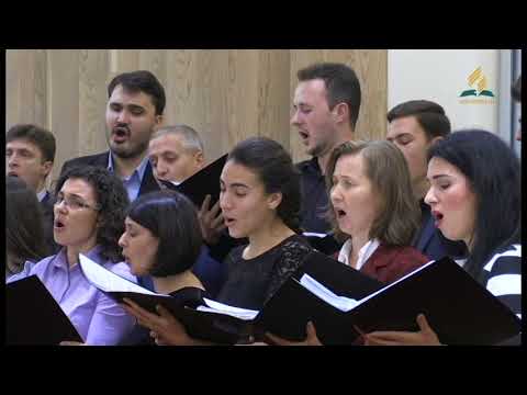 Akord Media - Ca un cerb setos de ape