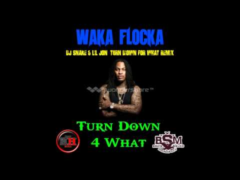 Waka Flocka Flame - Turn Down For What (REMIX) [DJ Snake & Lil Jon]