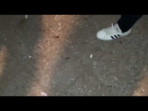 NOCRE y WHANTAFAKA vs AJC HOB y KHAZZ FILTROS MVP ALICANTE (DUAL SURVIVAL)