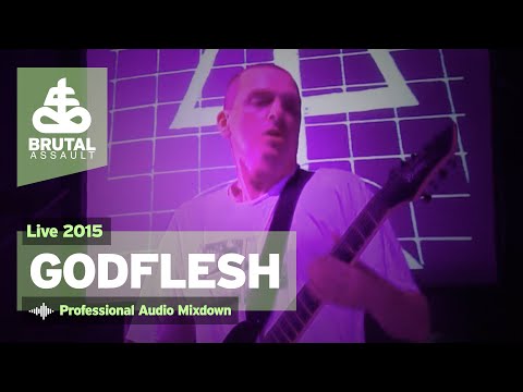 Brutal Assault 20 - Godflesh (live) 2015