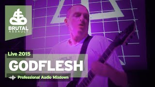 Brutal Assault 20 - Godflesh (live) 2015