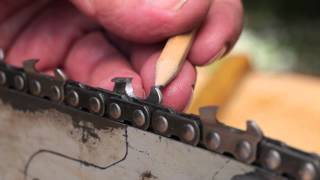 Sharpen a Chainsaw Chain - Tool Tip #10 Making Sawdust? How to hand sharpen a chainsaw chain
