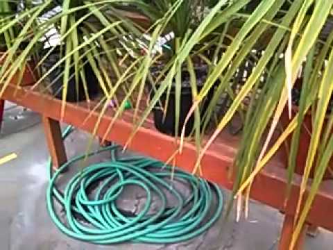 download lagu mp3 mp4 Americas Best Flowers Easter Egg Hunt, download lagu Americas Best Flowers Easter Egg Hunt gratis, unduh video klip Americas Best Flowers Easter Egg Hunt