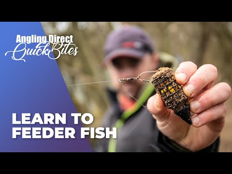 Learn To Feeder Fish - Coarse Fishing Quickbite