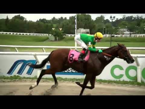 220304 C04 - SPECIAL ENERGY (BRZ) - HIPODROMO LAS PIEDRAS -