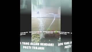Download lagu Apa yang Allah hendaki pasti terjadi #sholawat #viralvideo #fyp mp3
