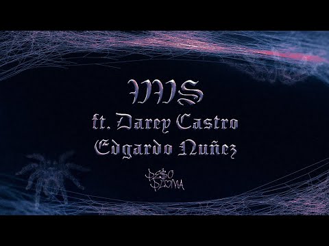 VVS (Lyric Video) - Peso Pluma, Peso Pluma, Edgardo Nuñez, Los Dareyes De La Sierra