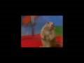 Dramatic Prairie Dog V2