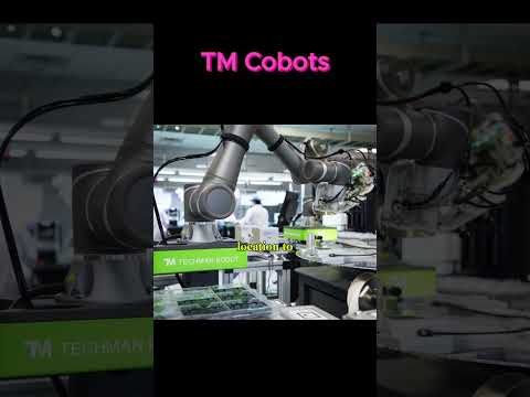 Techman Robot
