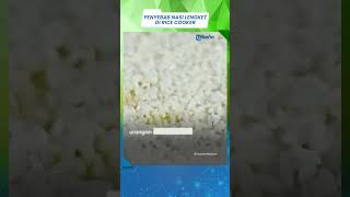 Berikut Penyebab Kenapa Nasi Sering Menjadi Lengket di Rice Cooker dan Cara Mengatasinya