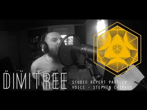 DIMITREE  STUDIO REPORT PART IV - VOICE