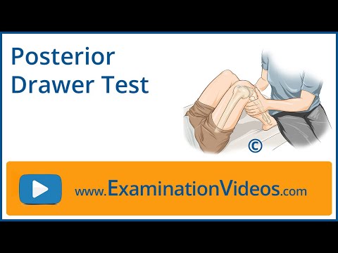 Posterior Drawer Test