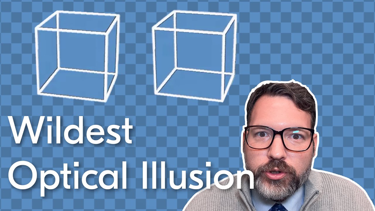 The Boxes DO NOT Move: The Wildest Optical Illusion I've Ever Seen