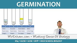 Plant reproduction - Germination - GCSE Biology (9-1)