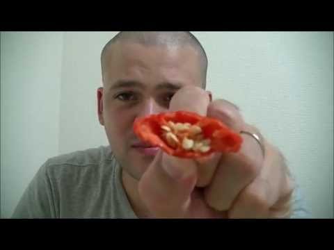 download lagu mp3 mp4 Bishops Crown Recipe, download lagu Bishops Crown Recipe gratis, unduh video klip Bishops Crown Recipe