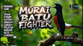 Download lagu 🔴LIVE 24 JAM!! MASTERAN MURAI BATU GACOR EMOSI NEMBAK ISIAN KASAR TAJAM   TERAPI AIR mp3