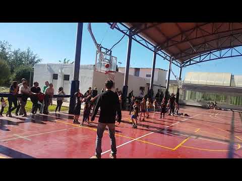 Partidos de baloncesto niños | UPB Gandia - CB Alginet Prebenjamin Fase 2