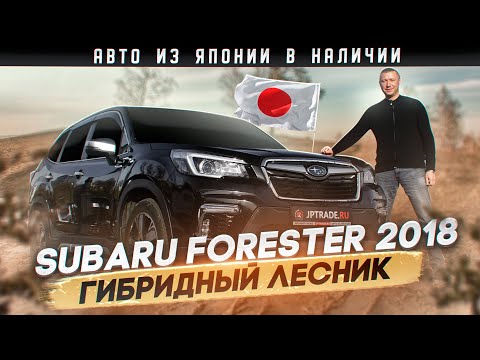 Subaru FORESTER лот № 30048 оценка 3.5