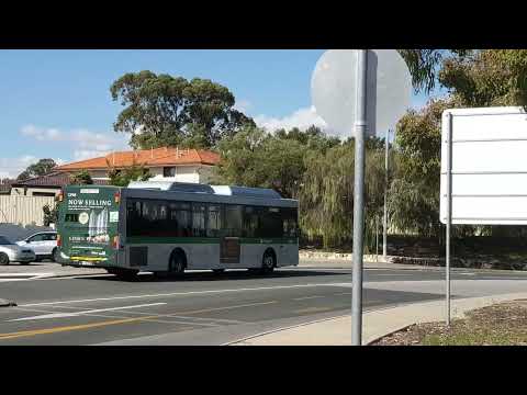 Transperth 1398 departs Warwick Station