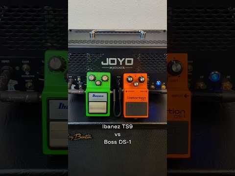 Boss DS-1 vs Ibanez TS9 Tube Screamer #pedal #distortion #overdrive #metal #grunge #guitar #rock