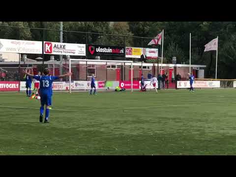 Valleivogels - t goy