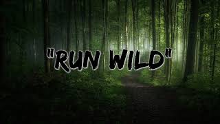 for KING &amp; COUNTRY - Run Wild [Lyric Video]