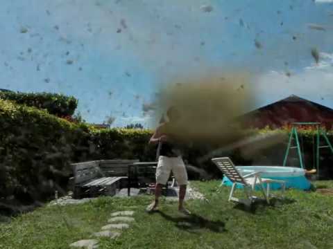 Invasione di cavallette