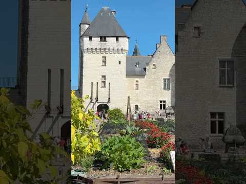 Why Do People Still Love Castles Like This? #chateaulife