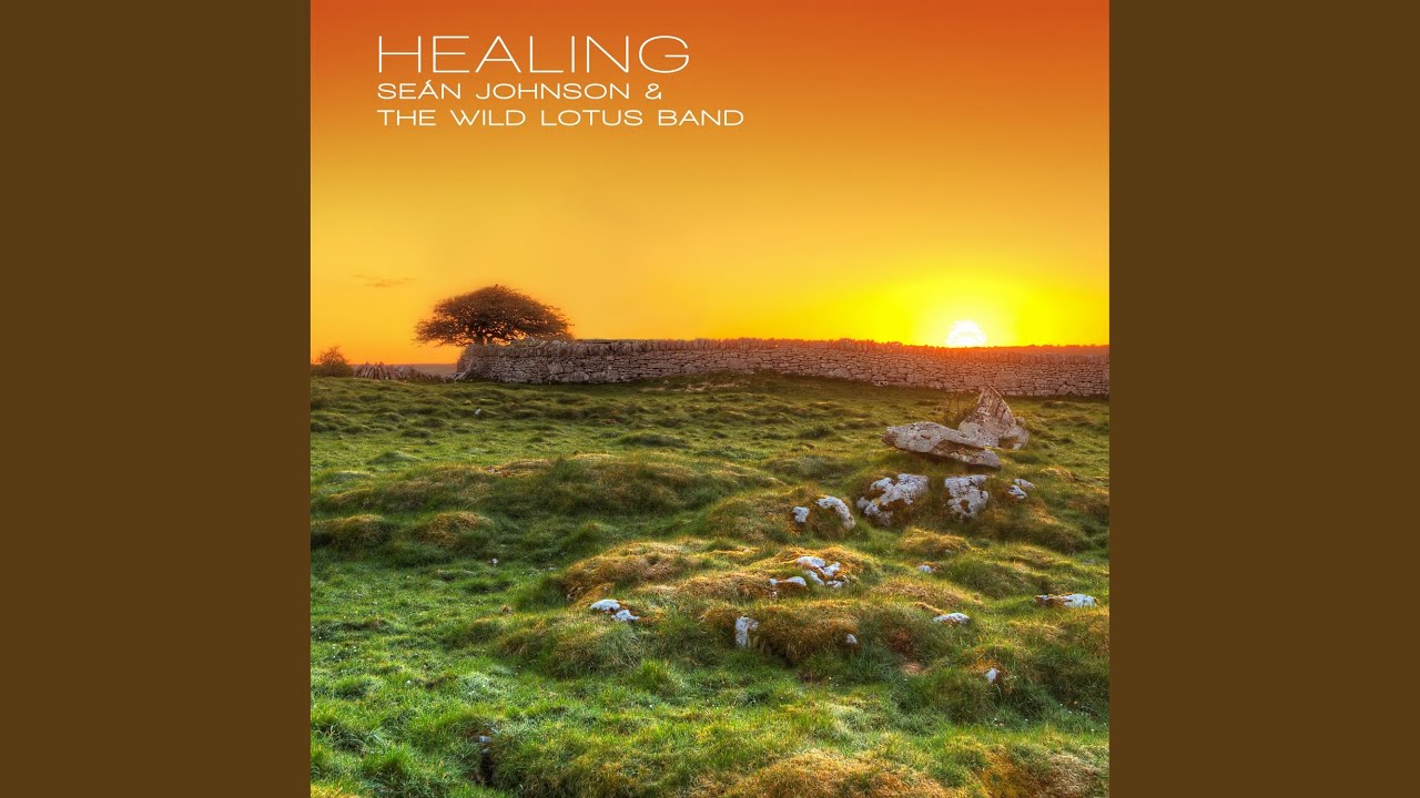 Healing (Brigid)