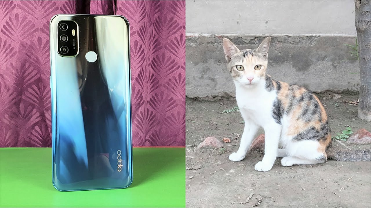Oppo A53 - Complete Camera Test!